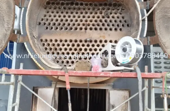 Tin tức
